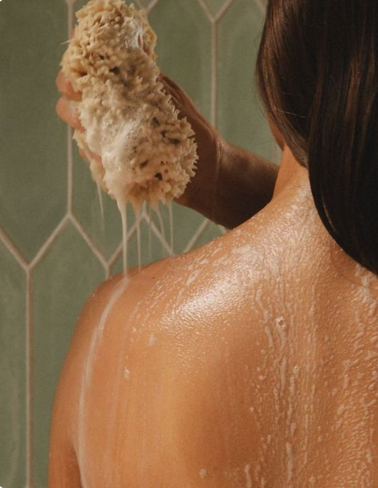 COSTAL CYPRESS & SEA FENNEL Bath & Shower Gel - 10 FL OZ / 300 ML