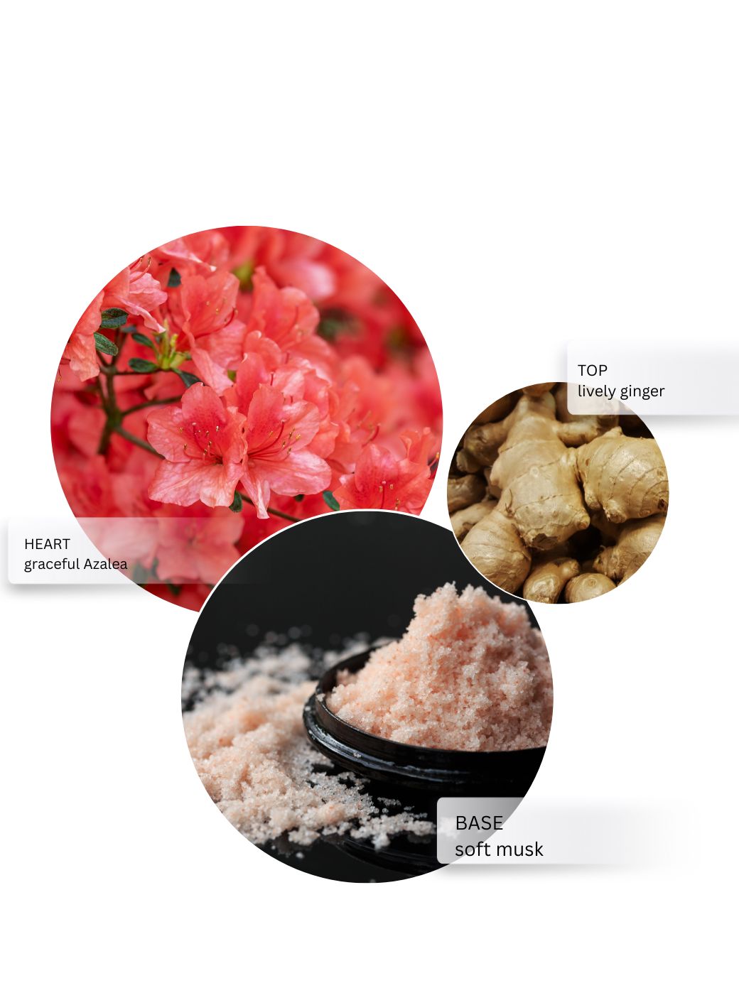 SEAWEED GEL FACEWASH - 3.4 FL OZ / 100 ML